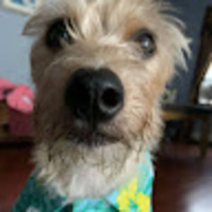 Meet your Posher, Vianca